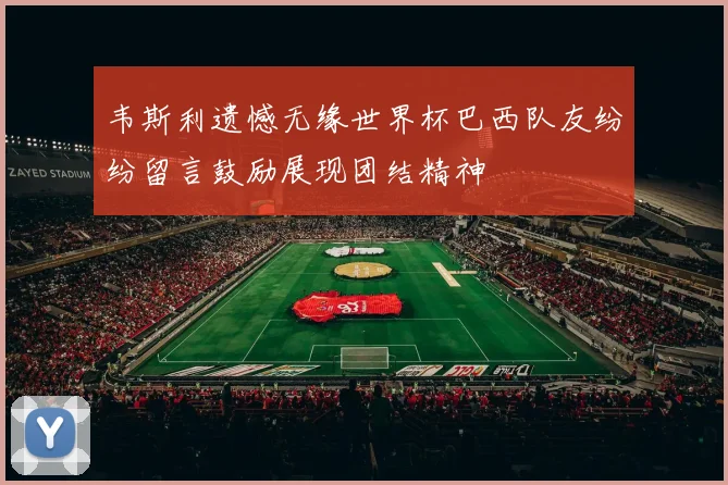 韦斯利遗憾无缘世界杯巴西队友纷纷留言鼓励展现团结精神