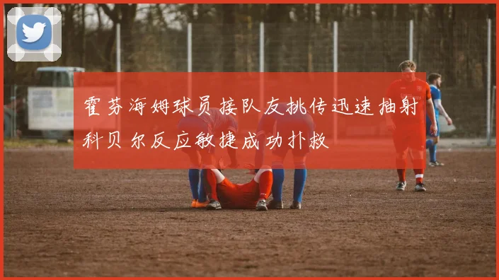 霍芬海姆球员接队友挑传迅速抽射科贝尔反应敏捷成功扑救