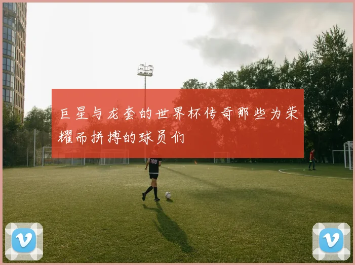巨星与龙套的世界杯传奇那些为荣耀而拼搏的球员们